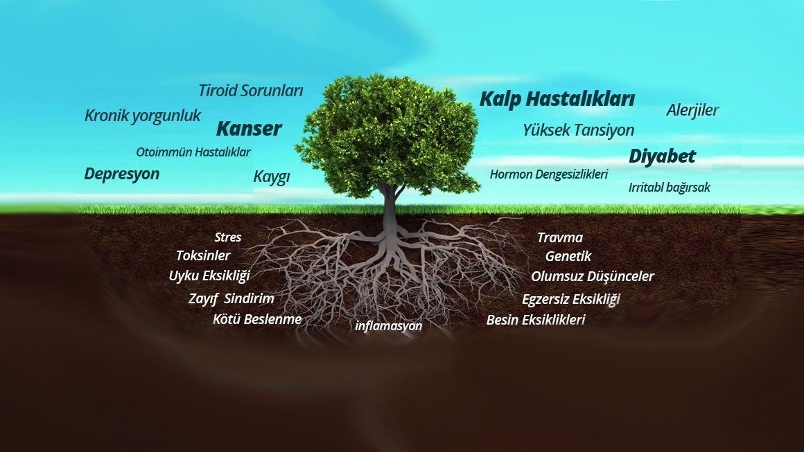 Fonksiyonel Tıp